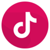 Tik Tok Link